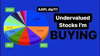Undervalued Stocks I’m Buying Today and is AAPL Apple crashing after Buffet sold?!!! 