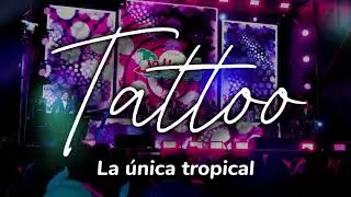 Ya no me importan los demás, cuando realmente quiero amar..🎶TATTOO - La Única tropical (LETRA)