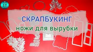 Какие бывают ножи для вырубки. Скрапбукинг