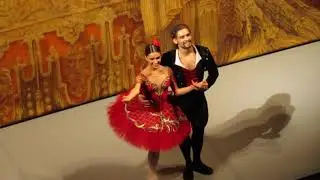 Иван Васильев и Мария Виноградова "Дон Кихот" 10/11/19