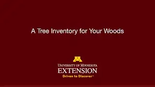 A Tree Inventory for Your Woods