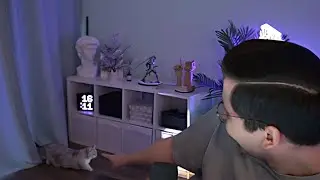 Лимузин на Коте