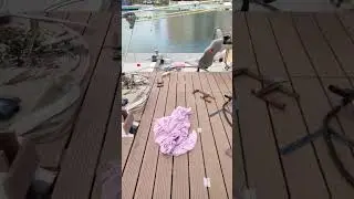 вместо стрима