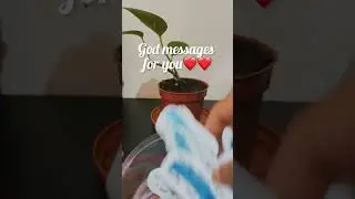 God message today❤️❤️#love #god