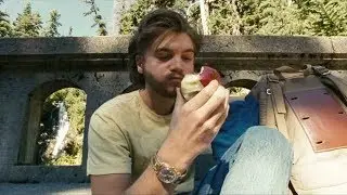 Into The Wild - Superapple