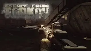 Dayz/Tarkov!