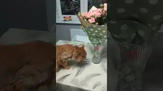 10 лет