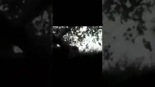Mythical Creatures Caught On Camera 😨 