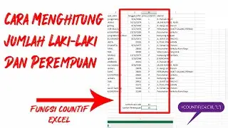 Cara Menghitung Jumlah Laki-Laki Dan Perempuan Di Microsoft Excel