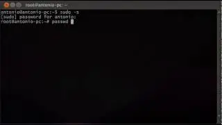 Cambiar contraseña root // Change root password