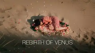 Rebirth of Venus (Short film)