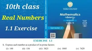 AP 10th maths 2024-25 New Text Book Real Numbers Exercise-1.1-1(1) || chapter-1 Real Numbers