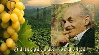 БУЛАТ  ОКУДЖАВА  Грузинская песня  Виноградная косточка