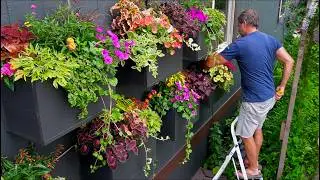 Water Wise Automatic Watering System | How To | Proven Winners