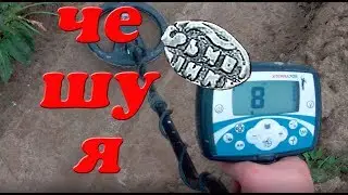 Сигналы и находки с Minelab X-TERRA 705