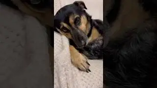 Люся и покутит,и расслабится🙈 