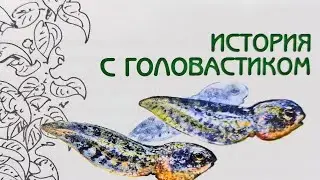 История с головастиком. Великан на поляне