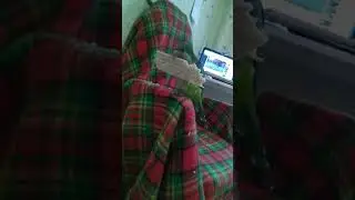 Вкусняшка