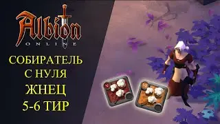 🔴Albion online : 🔥СОБИРАТЕЛЬ С НУЛЯ - ЖНЕЦ 🔥 5-6 ТИР