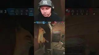 Does Mute Have The Best Loadout In Siege?!