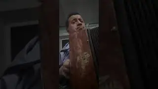 Шэмдэл-Фирдус Ганиев