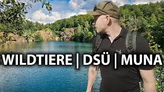 Wildtier-Begegnung, Fun-DSÜ, Wanderung 👣 Mikroabenteuer Heeresmunitionsanstalt