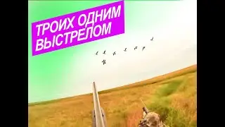 ТРОИХ ОДНИМ ВЫСТРЕЛОМ!! СУПЕР ВЫСТРЕЛЫ!!!  ОСЕНЯЯ  ОХОТА НА СЕВЕРЕ 2021!!