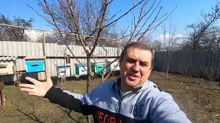 ВЕСЕННИЙ ТЕРРОР ПРОТИВ ПЧЁЛ! НЕ ОТРАВЛЯЙТЕ СВОИ ПАСЕКИ! ЧТО ВЫ ДЕЛАЛИ ОСЕНЬЮ, КЛЕЩЬ ПОСЛЕ БИПИНА...?