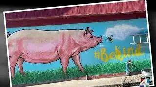 ‘Kindness goes a long way’: Local farm animal rescue shares its mission of spreading compassion