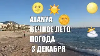 3 декабря 2019  В Алании вечное ЛЕТО Alanya Вода в море 21 градус