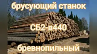 Купить в ООО Геликон-А брусовальный многопильный станок 12-ти пильный двухвальный бревнопильный