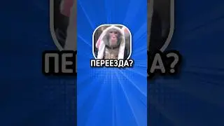 PLAYEROK 3.0 ВЫШЕЛ 📌💎