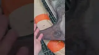 Подготовка ржавой горелой двери от гелика😎 Полный ролик тут: 
