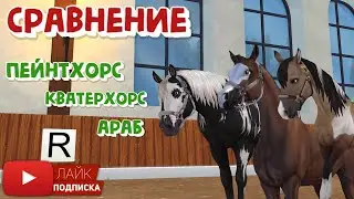Сравнение: пейнтхорс & араб & кватерхорс | Star Stable Online