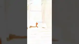 Как настроить🔧 чувствительность в Standoff 2 🤔 
