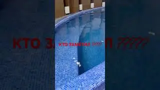 Бассейн сауна что заметили