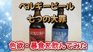 七つの大罪！レア物のベルギービール飲んでみた！