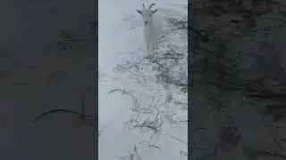 Маратик не успел 😁