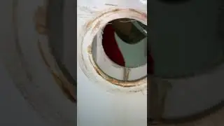 Застряла в туалете