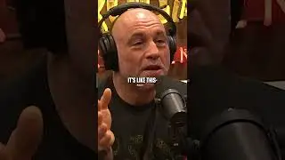 Joe Rogan Reacts to New York Times Journalists