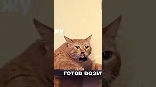 help me
