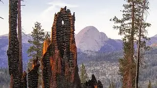 Fire & Water: Restoring natural fire to California's mountains