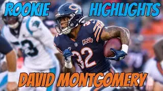 David Montgomery || “WHATS POPPIN” || Rookie Highlights