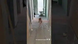 👷🏻‍♂ ЭДИСОН СТРОИТ ДАЧУ - СТОРИС ЭДИСОН МАЙНКРАФТ 