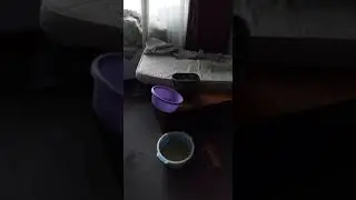 Общежития ДВФУ заливает на острове Русский 6 ноября