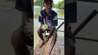 Most wholesome video you will see today 
