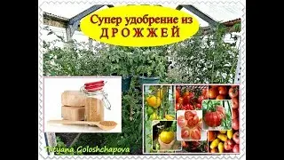 Огородничество. Выпуск #16 - Супер Удобрение из Дрожжей! Всё Растёт как на Дрожжах. Рекомендую
