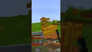 Everytime I see a Village ☠️