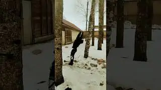 360.Воркаут