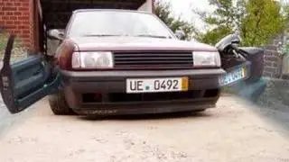 mein ex polo und meine rennzwiebel